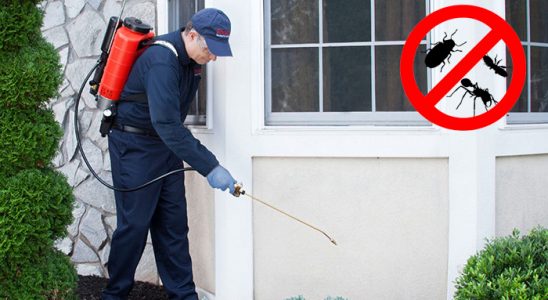 Çıldır Fare İlaçlama böcek ilaçlama ve haşere kontrolü — ilaclama-tr.com